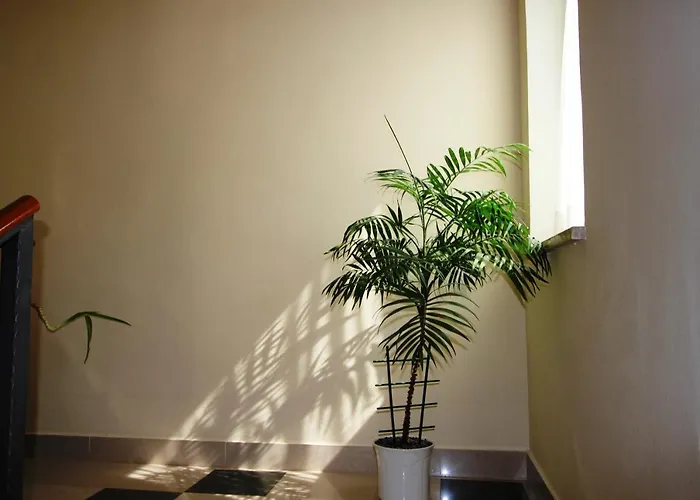 Maria Mare * Ρόβινι