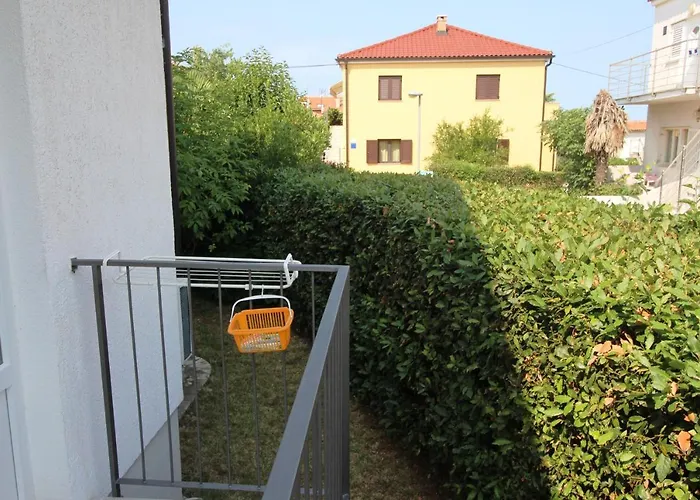 Maria Mare Ρόβινι